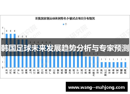 韩国足球未来发展趋势分析与专家预测 韩国足球未来发展趋势分析与专家预测